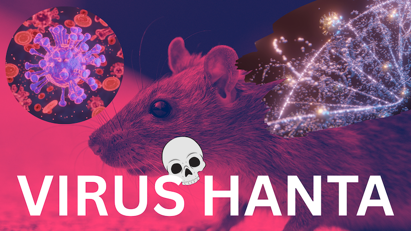 Banner Virus Hanta